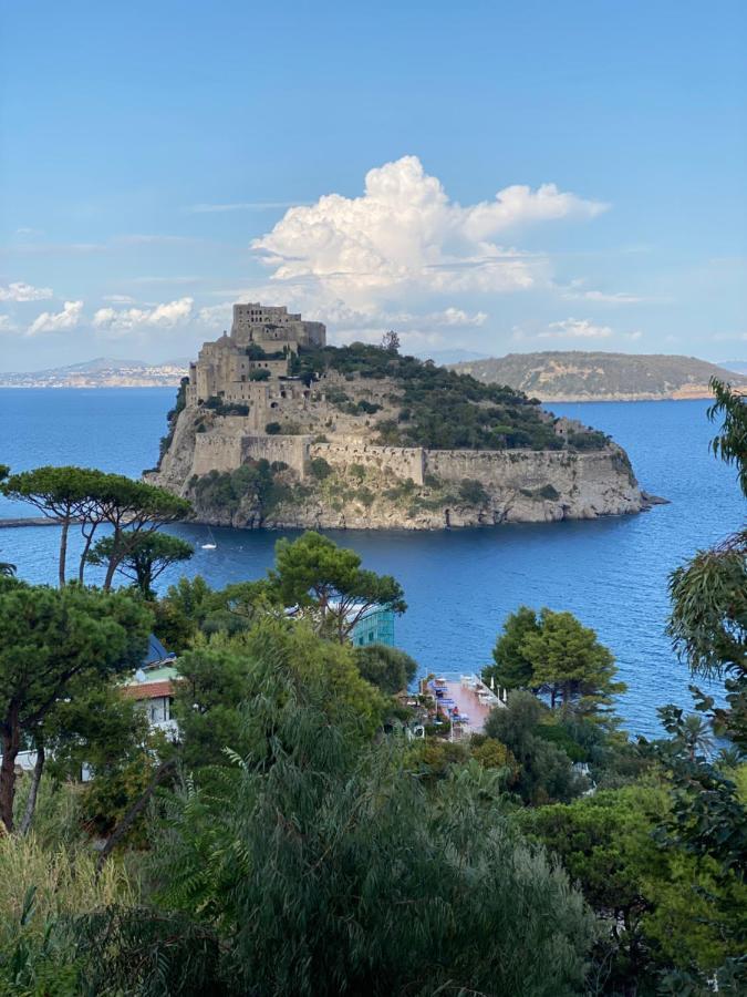 Vittoria Colonna Luxury B&B Ischia Zewnętrze zdjęcie